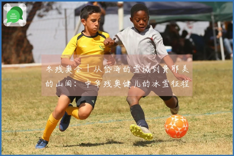 冬残奥会｜从岱海的雪域到费耶美的山间：中华残奥健儿的冰雪征程