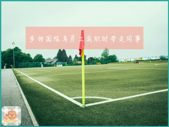 多邻国绿鸟员工离职时带走同事